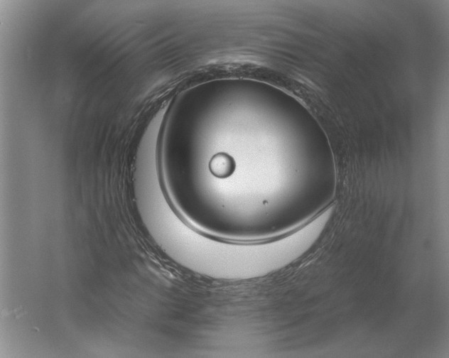 X0000061721014200512161549