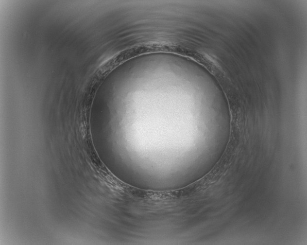 X0000061721015200512161549