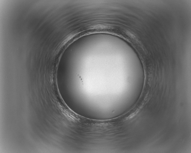 X0000061721017200512161549