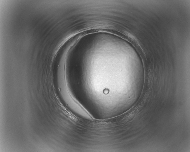 X0000061721019200512161549