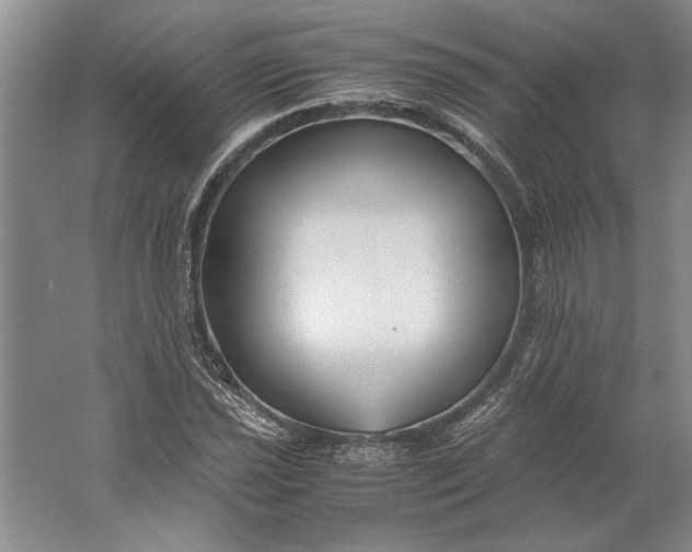 X0000061721021200512161549