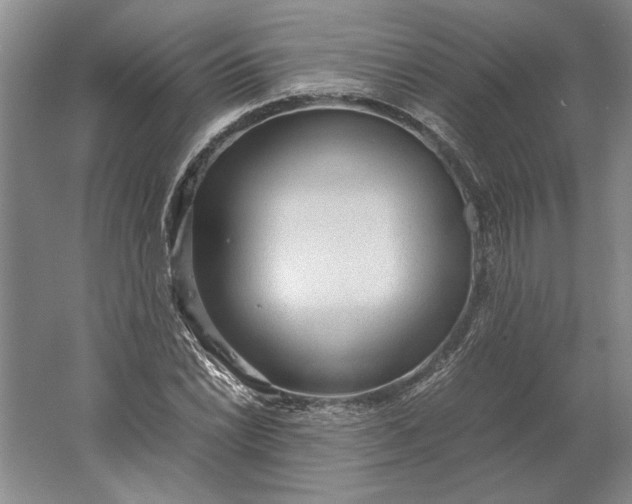 X0000061721022200512161549