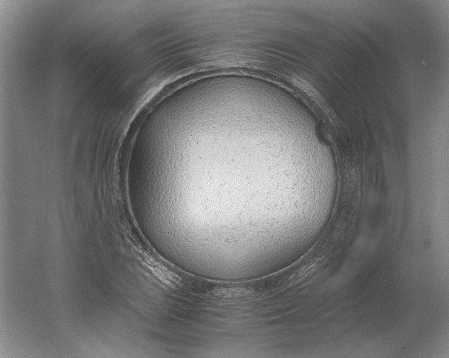 X0000061721023200512161549