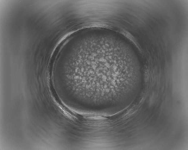 X0000061721024200512161549