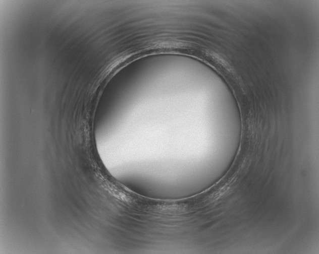 X0000061721025200512161549