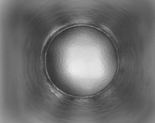 X0000061721027200512161550