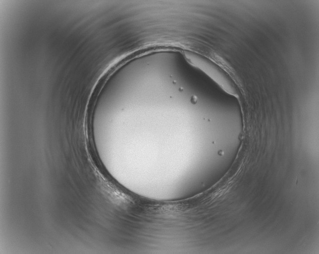 X0000061721028200512161550