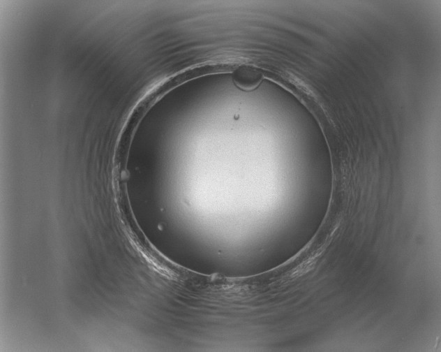 X0000061721029200512161550