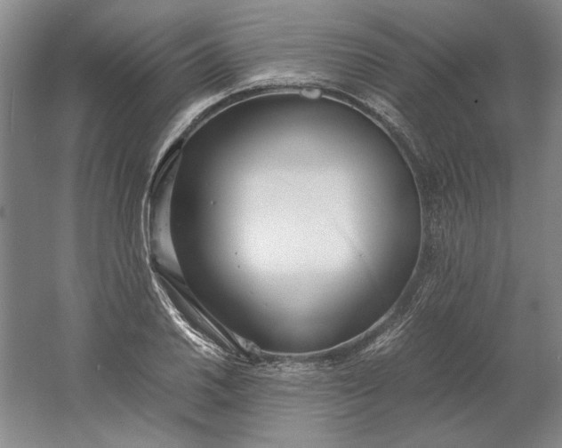 X0000061721030200512161550