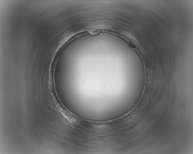 X0000061721031200512161550