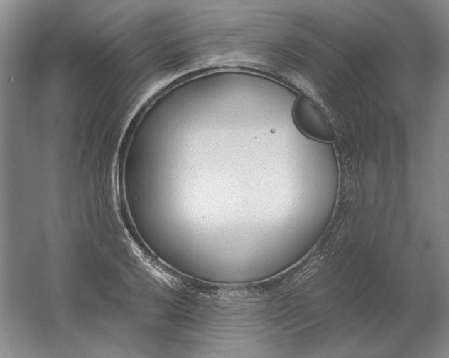 X0000061721032200512161550