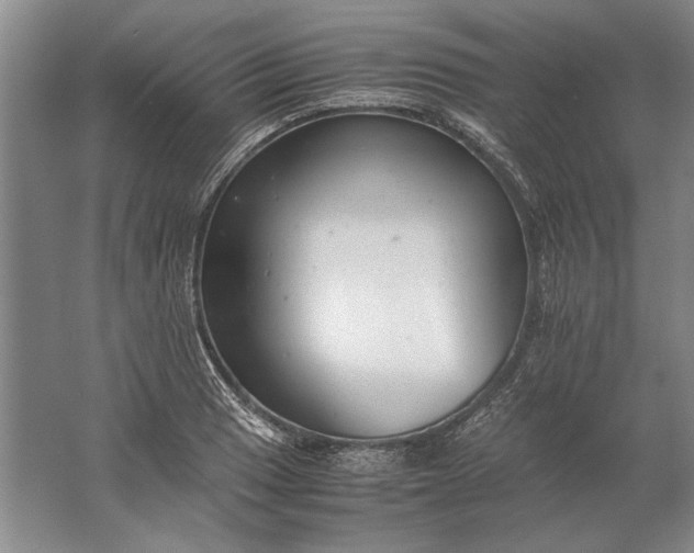 X0000061721033200512161550