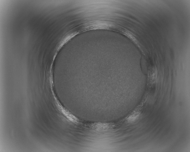 X0000061721034200512161550