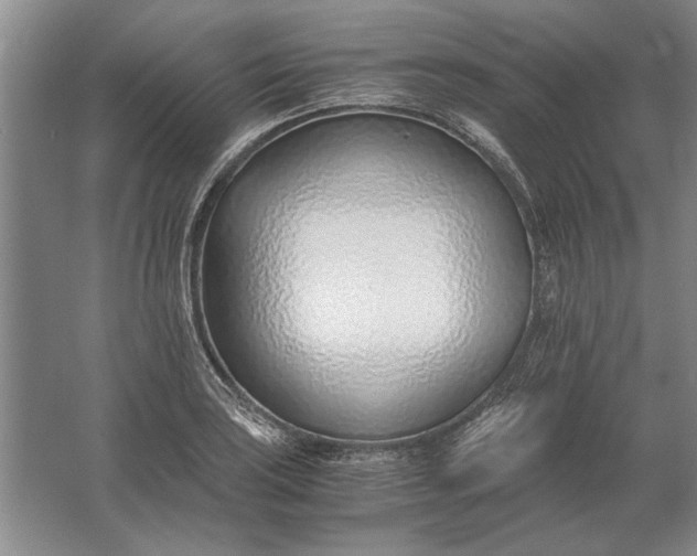 X0000061721035200512161550