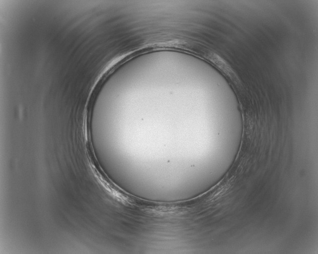 X0000061721036200512161550