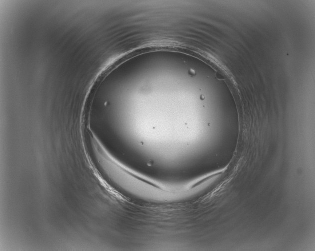 X0000061721037200512161550