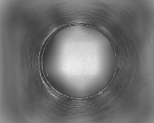 X0000061721039200512161550