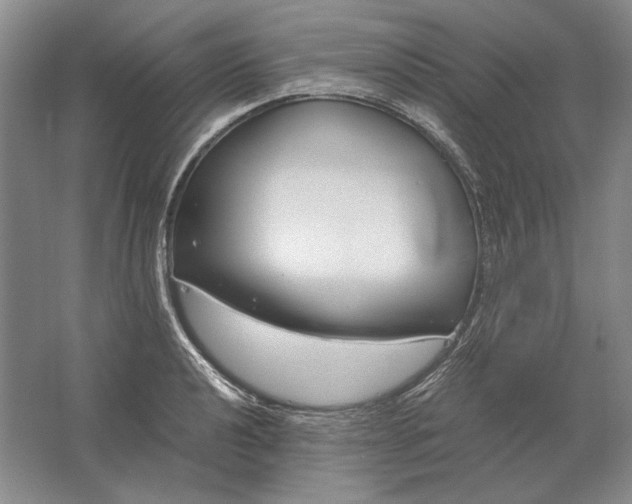 X0000061721040200512161550