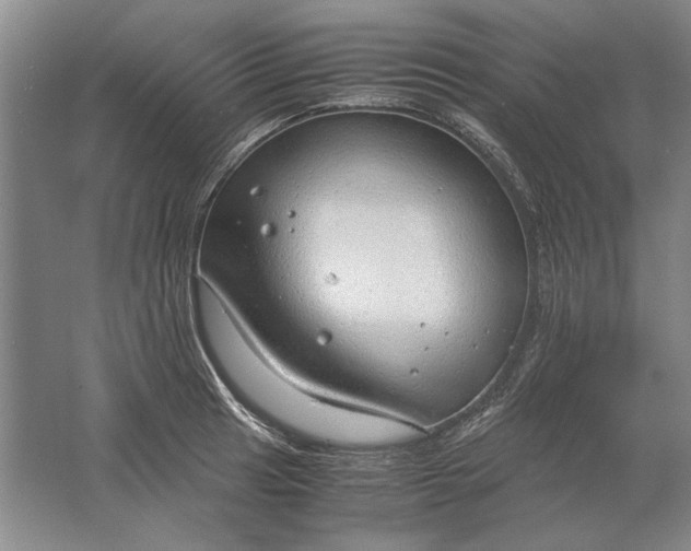 X0000061721041200512161550