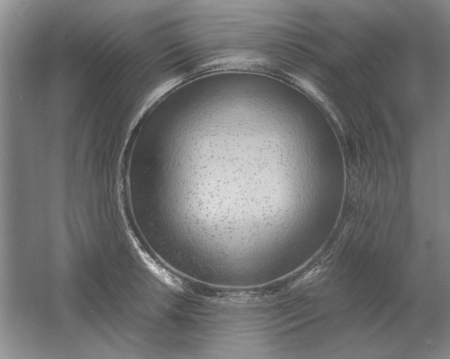 X0000061721042200512161550