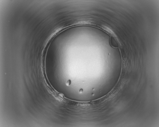 X0000061721043200512161550