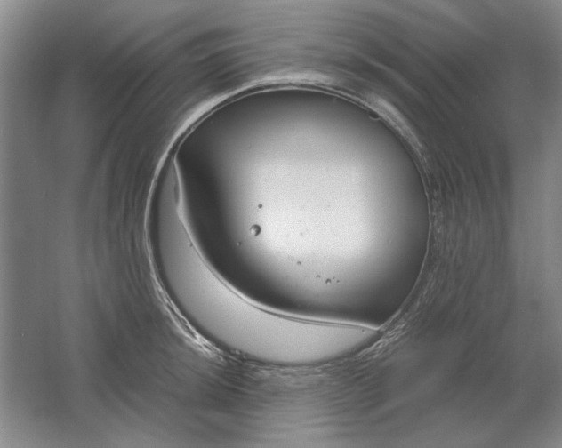 X0000061721044200512161550