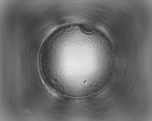 X0000061721047200512161550