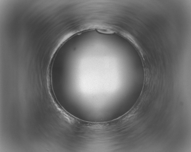 X0000061721048200512161550