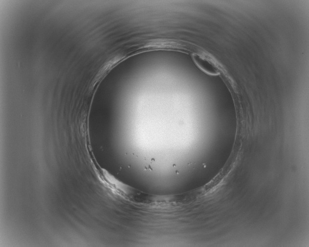 X0000061721049200512161550