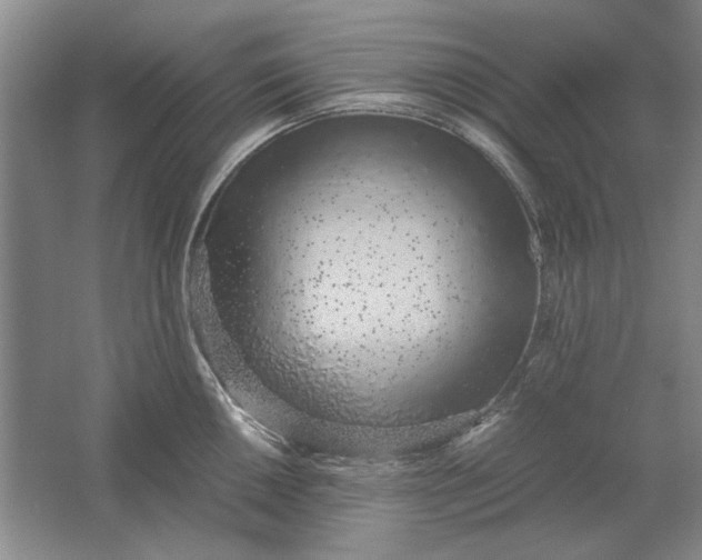 X0000061721050200512161550