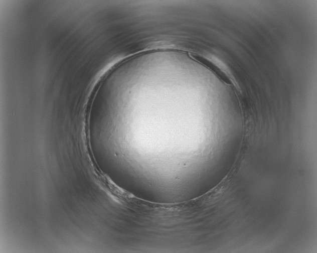 X0000061721051200512161550