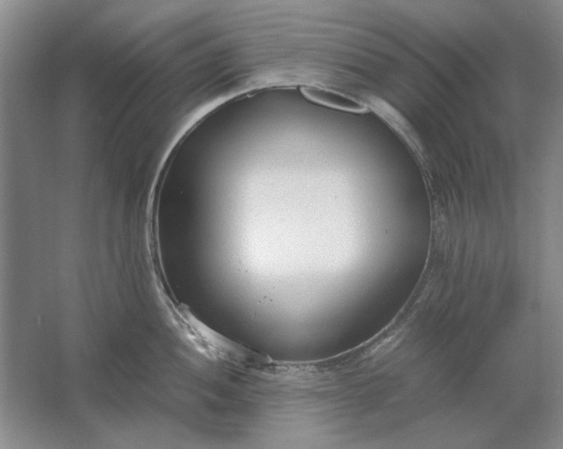 X0000061721052200512161550