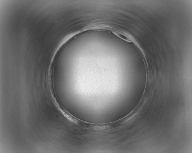 X0000061721053200512161550