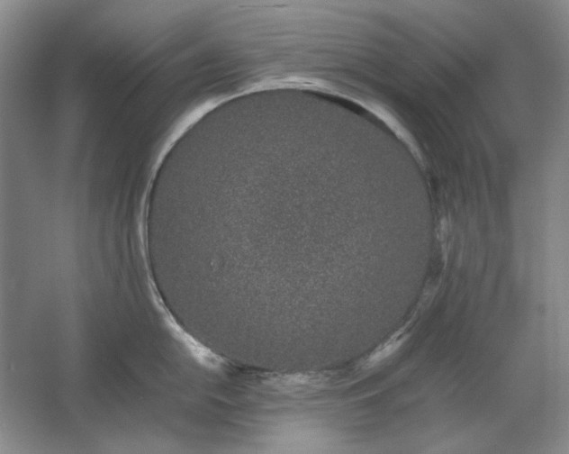 X0000061721054200512161550