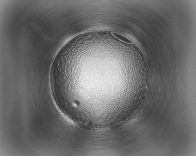 X0000061721055200512161550