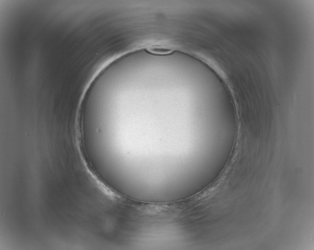 X0000061721056200512161550