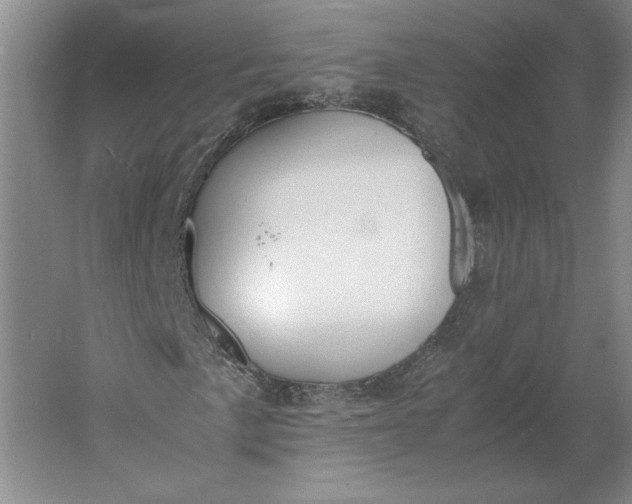 X0000061721057200512161549