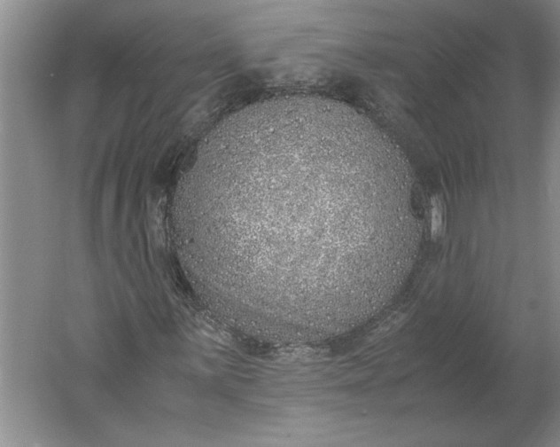 X0000061721059200512161549