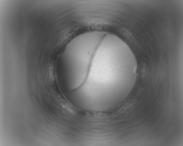 X0000061721060200512161549