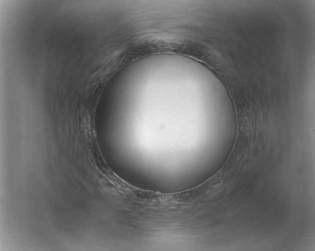 X0000061721061200512161549