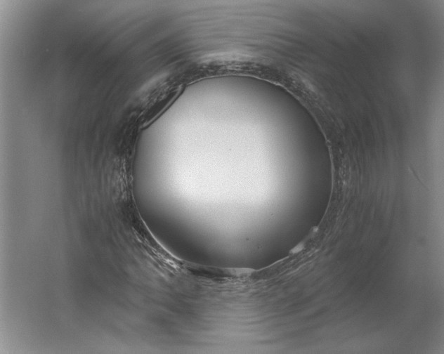 X0000061721062200512161549