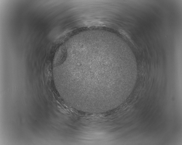 X0000061721063200512161549