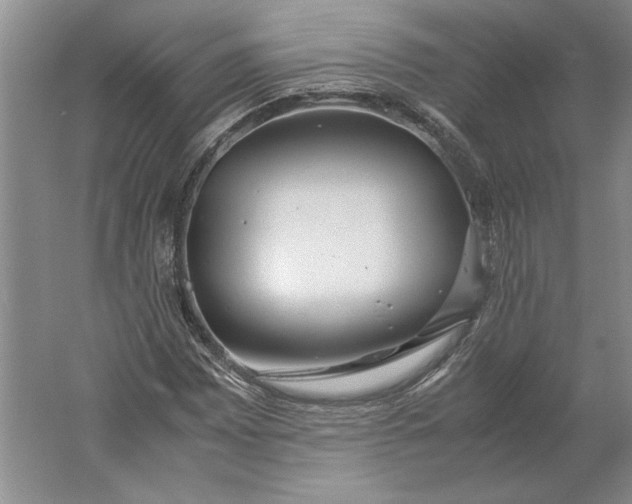 X0000061721065200512161549