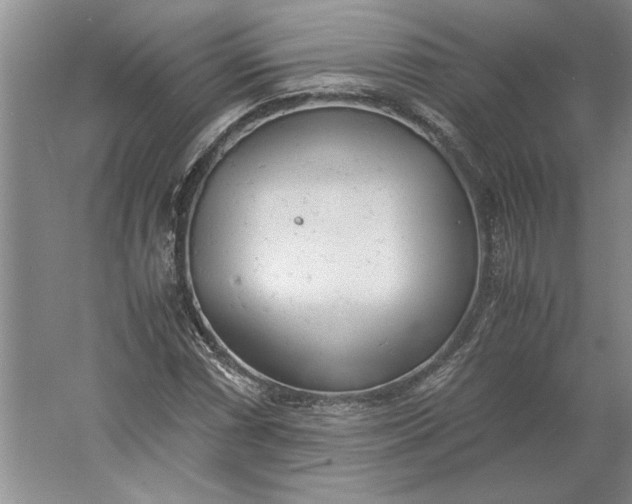 X0000061721066200512161549