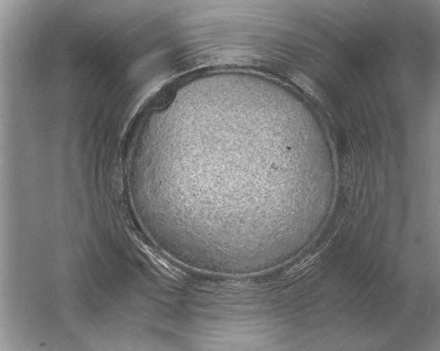 X0000061721067200512161549