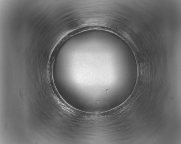 X0000061721068200512161549