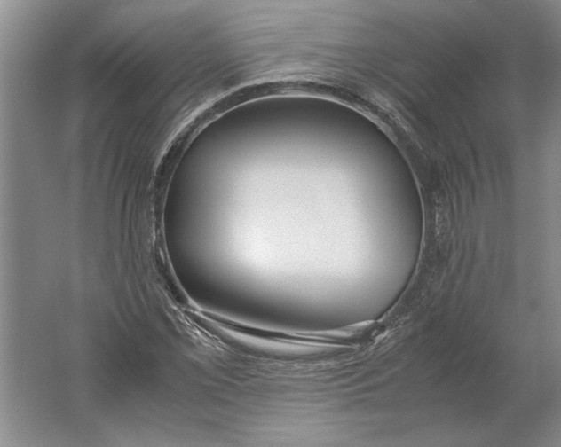 X0000061721069200512161549