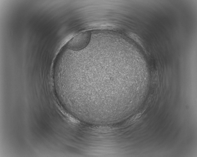 X0000061721071200512161549