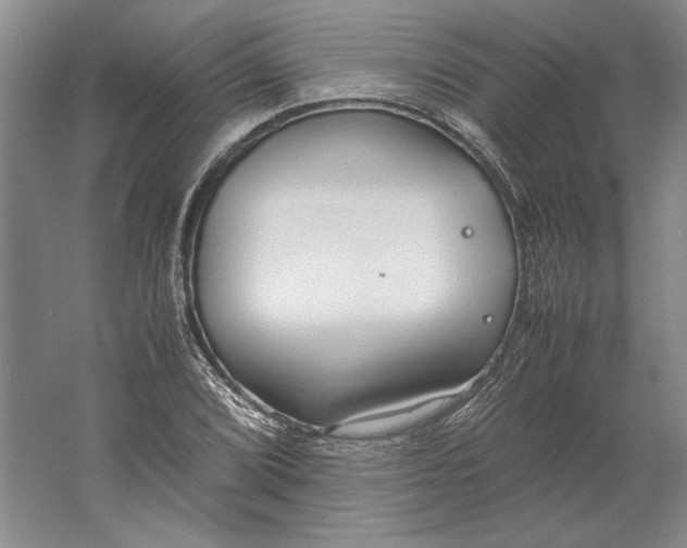 X0000061721072200512161549