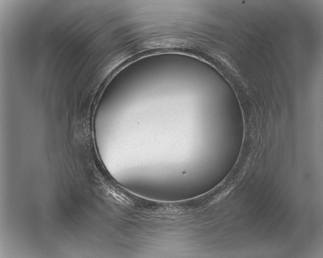 X0000061721073200512161549